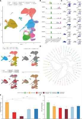 Increased Expression of Tim-3 Is Associated With Depletion of NKT Cells In SARS-CoV-2 Infection